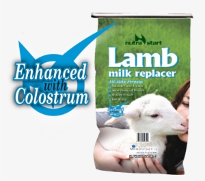 lamb milk replacer - advance acidified lamb milk replacer 25 lb