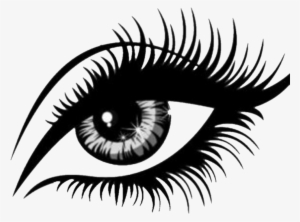 Eyes And Eyebrows Drawing At Getdrawings - Eyelash Clipart Black And White