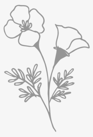 Floral - Buttercup