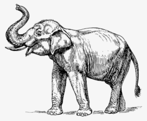 Thai Elephant Drawing - Elephant Drawing Trunk Up
