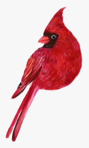 Hand Painted A Clever Parrot Png Transparent - Drawing