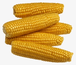 Free Png Corn Png Images Transparent - Food Crops In Nigeria