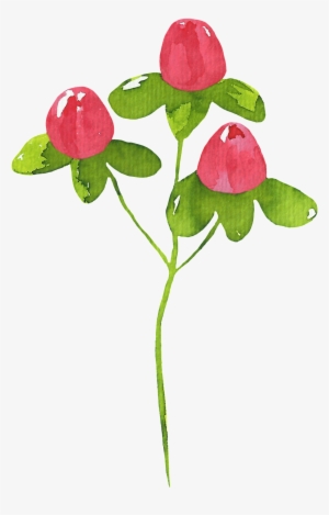 Creative Watercolor Plant Cartoon Transparent - Dibujo Planta Png