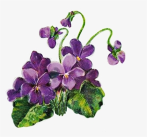 Floral Clipart For Scrapbooking Png - Purple Violets Clipart