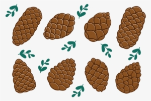 Pine Cones Icons Vector - Pine Nuts Vector Png
