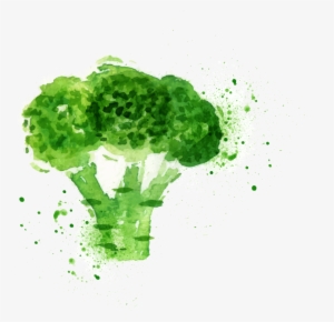 Broccoli Slaw Watercolor Painting Image Free - Broccoli Watercolor
