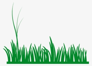 Gallery Images And Information - Grass Border Clip Art