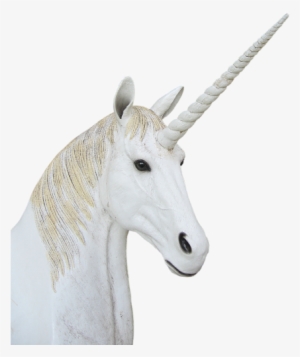 Png,unicorn,animal Magic,fantasy - Unicorn