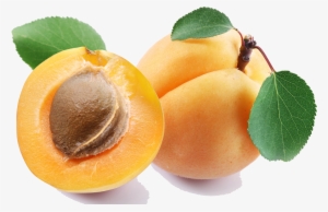 Killzone Clipart Mango - Apricot Png