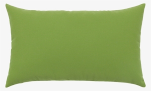 Canvas Ginkgo Essentials Lumbar Pillow - Coussin Boris Cactus Vivaraise