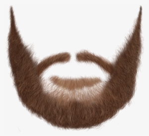 Beard Clipart Realistic - Beard Booth Transparent
