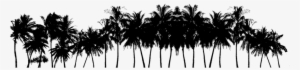 Picture - Palm Trees Png Black