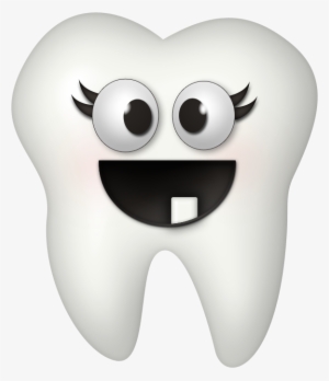 Dintii - Baby Tooth Clipart