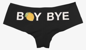 Beyonce Underwear Panties Boy Bye - Hold Up