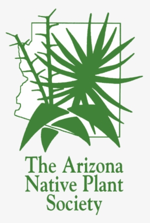 Aznps Logo White Background - Arizona Native Plant Society