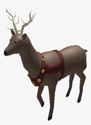 Reindeer