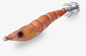 Shrimp - Škamp