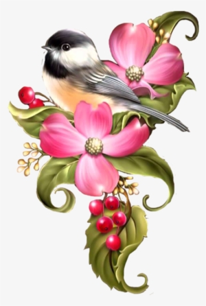 Botanical Drawing Bird