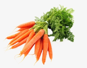 Free Images Toppng Transparent Svg Royalty Free - Transparent Background Carrot Png