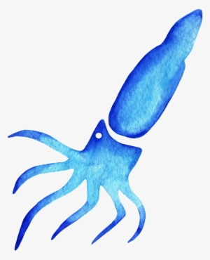Watercolor Squid Clipart