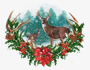 Seasonal Illustrations For Packaging And Merchandising - Roe Deer