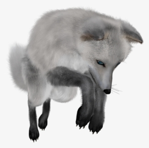 Gallery Free Clipart Picture Animals Png Painted Fox - Transparent Png Arctic