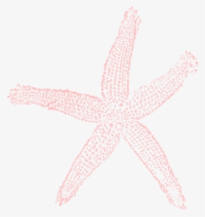 Starfish Transparent Background Clipart - Fish Clip Art
