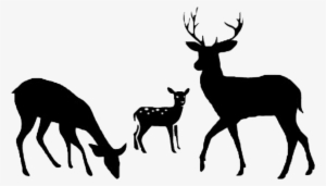 Deer Probiotics & Microbes - Fallow Deer Silhouette
