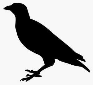 Raven Bird Png Pic - Raven Clipart Silhouette