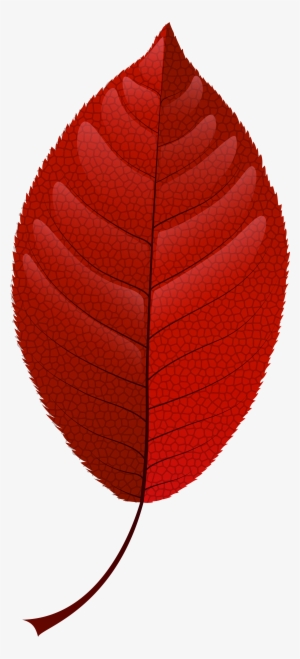 Red Fall Leaf Png Clip Art - Leaf