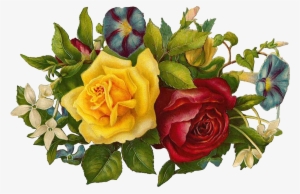 Transparent Scroll Rose