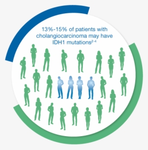 Among Your Patients With Cholangiocarcinoma, 13-15% - Dna