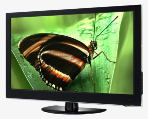 Homepage-tv - Lcd Tv Png