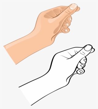 Vector Hand Wrist - Hand