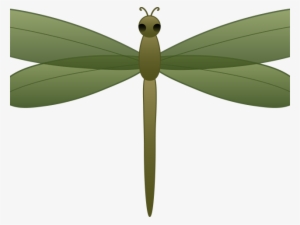 Dragonfly Clipart Green Dragonfly - Clip Art