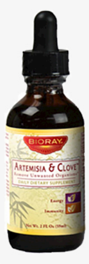 Artemisia And Clove