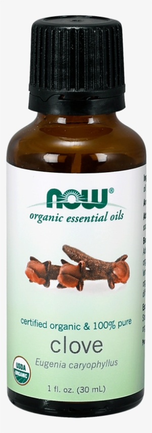 Clove Oil, Organic - Now Foods - Organic Essential Oil Clove - 1 Fl. Oz.