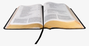 Open Bible No Background