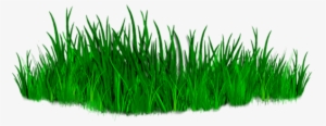 All Editing Grass Png Zip File, Photoshop All Editing - Grass Png For Photoshop