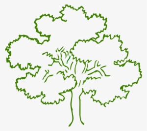 Clarnette - Clip Art Trees Black And White