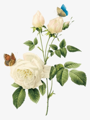 Aren't Women Allowed To Practice Self Love - White Vintage Flowers Png