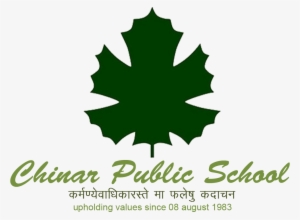 Chinar Public School Alwar
