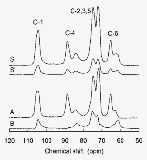 Sol#state 13 C Nmr Spectra Of Activated Cellulose - Common Fig