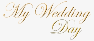 My Wedding Day - Conselho Federal De Farmácia