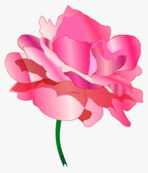Pink Rose No Shadow Clipart Png For Web