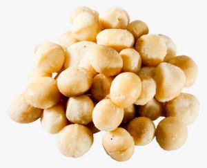 Raw Organic Macadamia Nuts - Macadamia Nuts Transparent