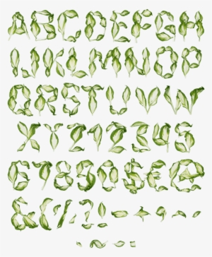 Pipal Leaves Font
