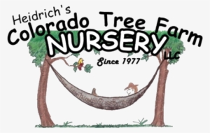 Heidrich's Colorado Tree Farm Nursery - Colorado