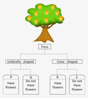 Look At The Picture Of The Tree - Tree Animated Clip Art