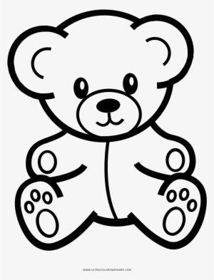 Plush Drawing Teddy Bear - Stuffed Bear Drawing